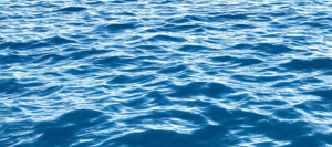 استراتژی اقیانوس آبی چیست؟
