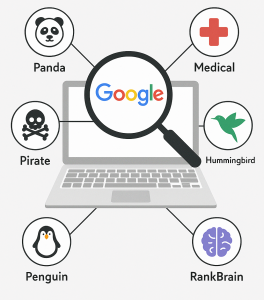 الگوریتم های گوگل در سئو